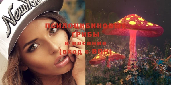 соль ск Володарск