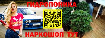 прущие крисы Балашиха