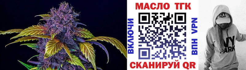 omg ТОР  Нерюнгри  ТГК концентрат 