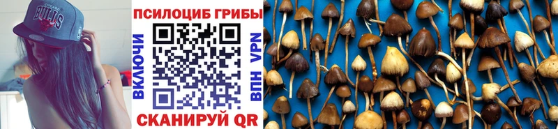 Псилоцибиновые грибы прущие грибы  MEGA ONION  Нерюнгри 