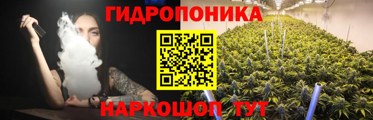 Бошки Шишки планчик Нерюнгри